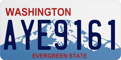 WA license plate AYE9161