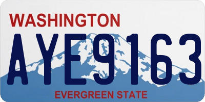 WA license plate AYE9163