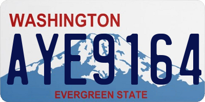 WA license plate AYE9164