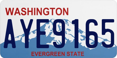 WA license plate AYE9165