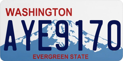 WA license plate AYE9170