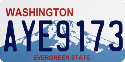 WA license plate AYE9173
