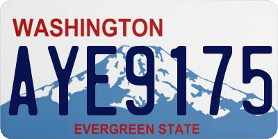 WA license plate AYE9175