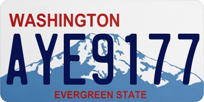 WA license plate AYE9177