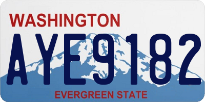WA license plate AYE9182