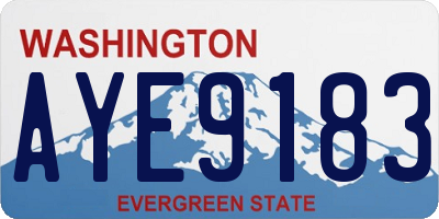 WA license plate AYE9183