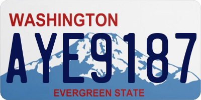 WA license plate AYE9187