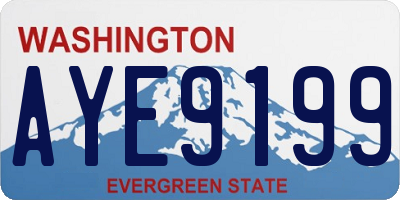WA license plate AYE9199