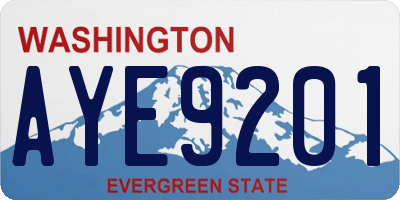 WA license plate AYE9201