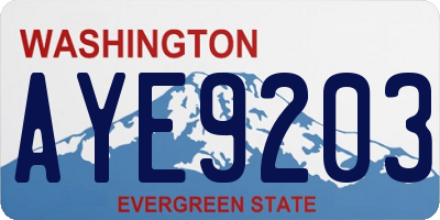 WA license plate AYE9203