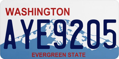 WA license plate AYE9205