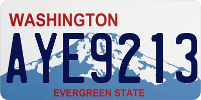 WA license plate AYE9213