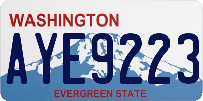 WA license plate AYE9223