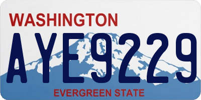 WA license plate AYE9229