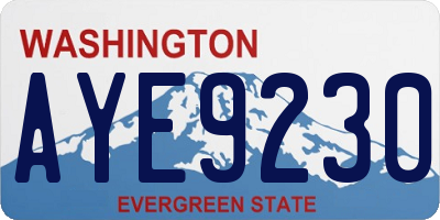 WA license plate AYE9230