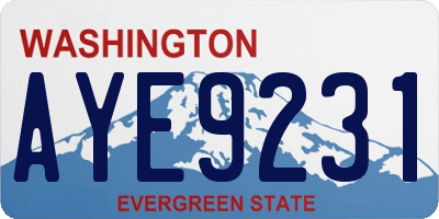 WA license plate AYE9231