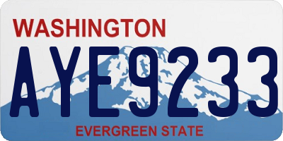 WA license plate AYE9233