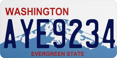 WA license plate AYE9234