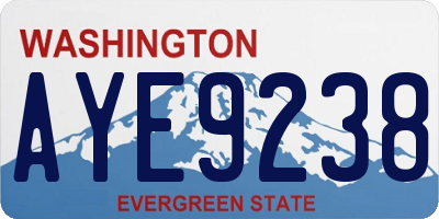 WA license plate AYE9238