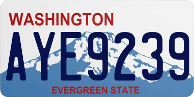 WA license plate AYE9239