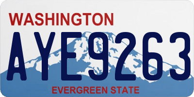 WA license plate AYE9263