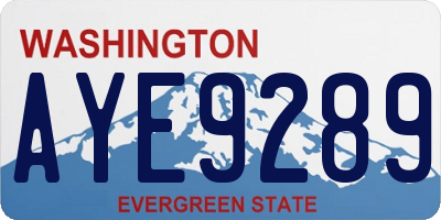 WA license plate AYE9289