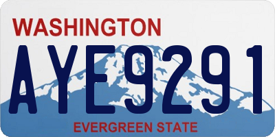 WA license plate AYE9291