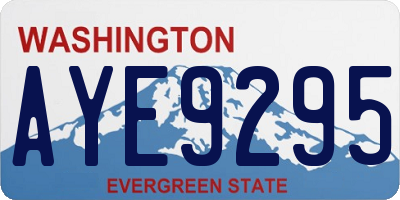 WA license plate AYE9295