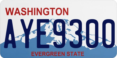 WA license plate AYE9300