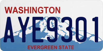 WA license plate AYE9301