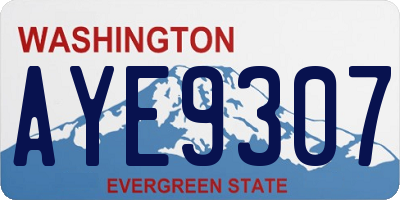 WA license plate AYE9307