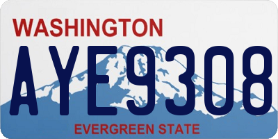 WA license plate AYE9308