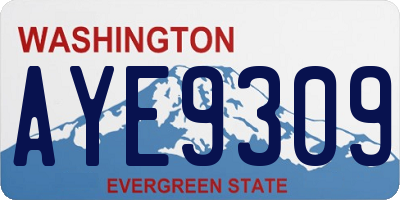WA license plate AYE9309