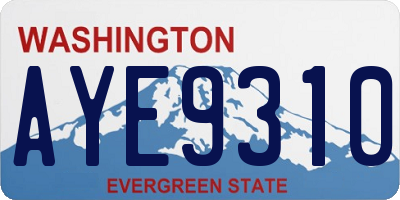 WA license plate AYE9310