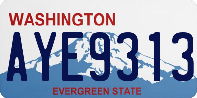 WA license plate AYE9313