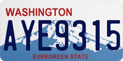 WA license plate AYE9315