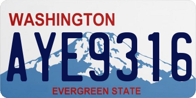 WA license plate AYE9316