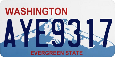 WA license plate AYE9317