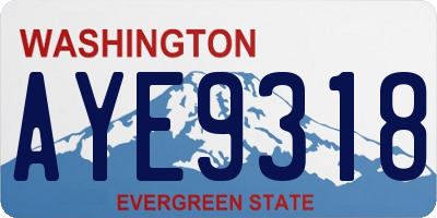 WA license plate AYE9318