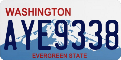 WA license plate AYE9338