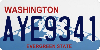 WA license plate AYE9341