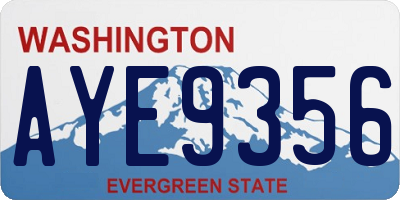 WA license plate AYE9356