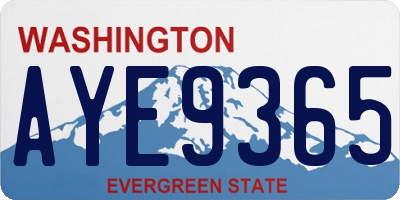 WA license plate AYE9365
