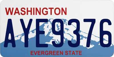 WA license plate AYE9376