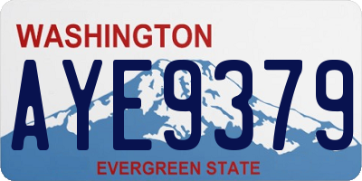 WA license plate AYE9379