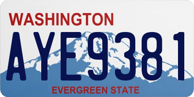 WA license plate AYE9381