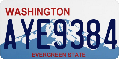 WA license plate AYE9384