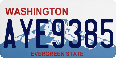 WA license plate AYE9385