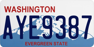 WA license plate AYE9387