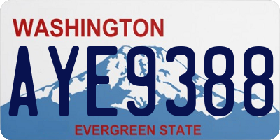 WA license plate AYE9388